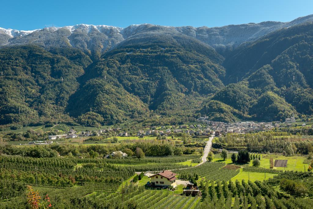 B&B Ca Tunin Tirano Kamer foto